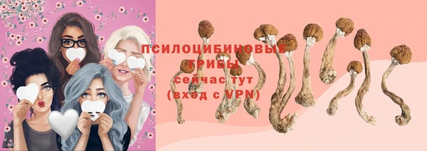 МДПВ Алексеевка
